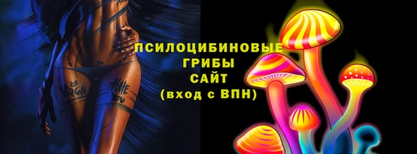 ECSTASY Сосновоборск
