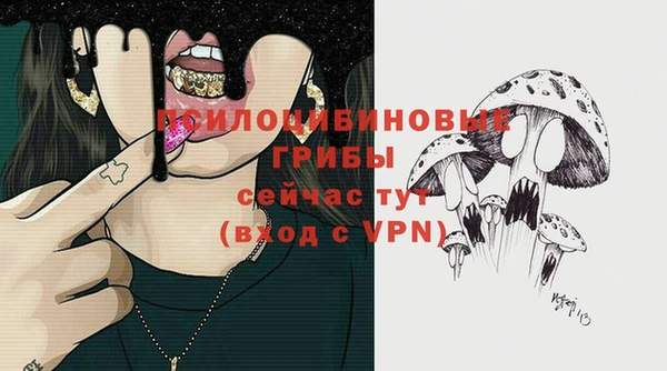 ECSTASY Сосновоборск