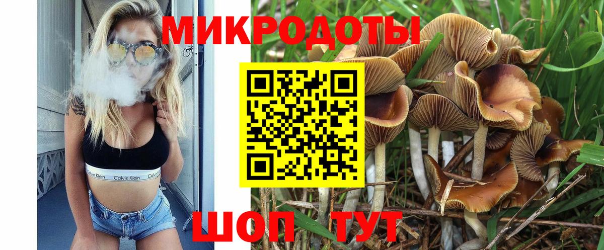 Псилоцибиновые грибы Cubensis  Вход с VPN  Учалы 