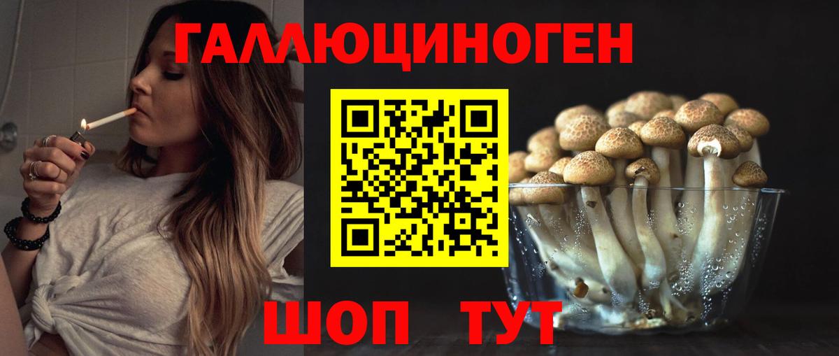 Псилоцибиновые грибы Psilocybe Учалы