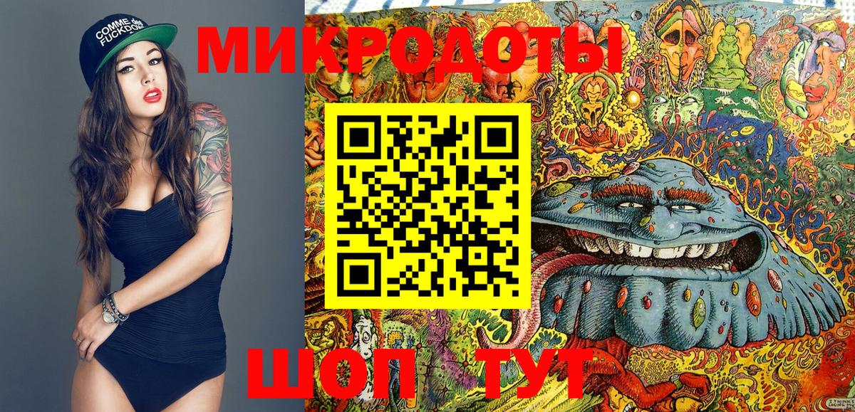 Псилоцибиновые грибы Psilocybe  Псилоцибиновые грибы мицелий  Учалы 